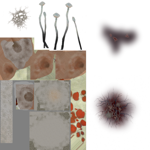 AM_M_2310_a_l.png
