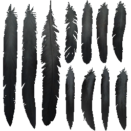 AM_M_3040_Fether_a_l.png