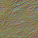 BD_M_1010_Scale_n_l.png