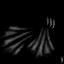 BD_M_1100_g_l.png