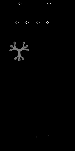 BD_M_1546_Surcoat_m_l.png