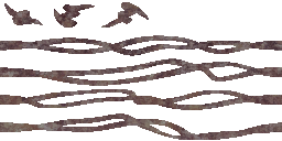 BD_M_1670_barbedwire_a_l.png