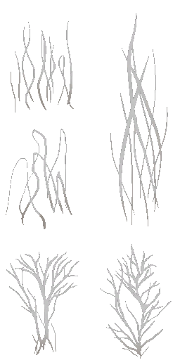 BD_M_1810_fur_a_l.png