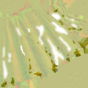 BD_M_1860_Mant_n_l.png