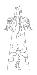 BD_M_2330_a_pattern_04_a_l.png