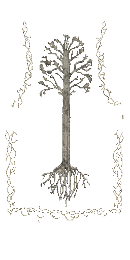 BD_M_2340_pattern_a_l.png