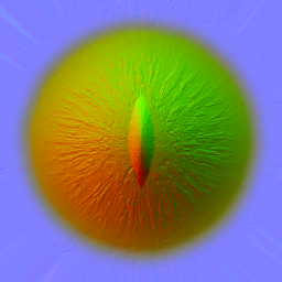 FG_A_1511_eye_n_l.png