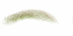 FG_A_2001_n_l.png