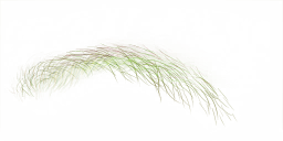 FG_A_2004_n_l.png