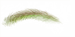 FG_A_2008_n_l.png