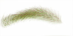 FG_A_2010_n_l.png