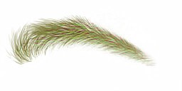 FG_A_2013_n_l.png