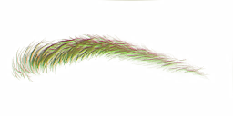 FG_A_2014_n_l.png