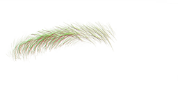 FG_A_2015_n_l.png