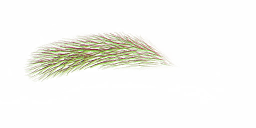 FG_A_2016_n_l.png