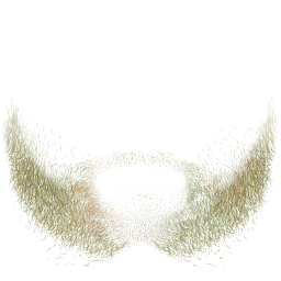 FG_A_3004_n_l.png