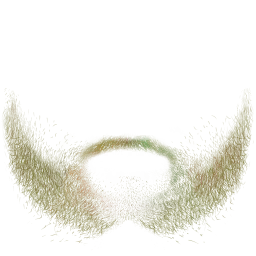 FG_A_3005_n_l.png