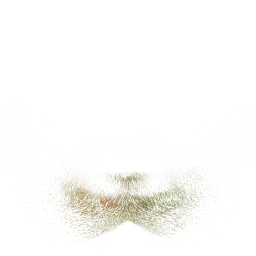 FG_A_3007_n_l.png