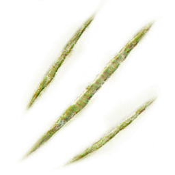 FG_A_6005_n_l.png
