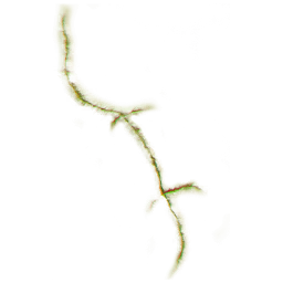FG_A_6006_n_l.png