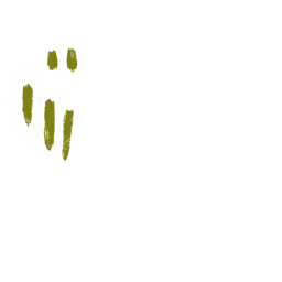 FG_A_6016_n_l.png