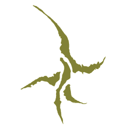 FG_A_6029_n_l.png