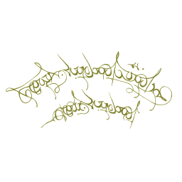 FG_A_6032_n_l.png