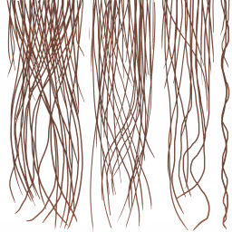HD_F_1630_hair_a_l.png