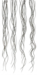HD_M_1650_hair_a_l.png