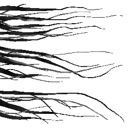 HD_M_1690_hair_a_l.png