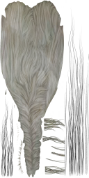 HD_M_2000_Hair_a_l.png