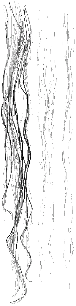 HD_M_2010_hair_a_l.png