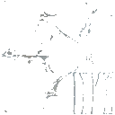 HD_M_2290_Mucus_a_l.png