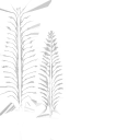 HD_M_2330_helmet_parts_m_l.png