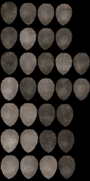 LG_M_2000_ScaleColor_a_l.png