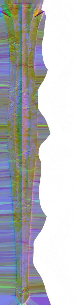 WP_A_0204_n_l.png