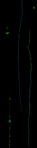 WP_A_0271_em_l.png