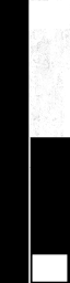 WP_A_0300_1_m_l.png