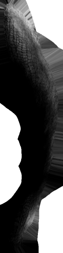 WP_A_0419_1m_l.png