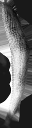 WP_A_0419_m_l.png