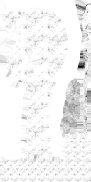 WP_A_0423_m_l.png