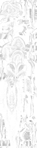 WP_A_0426_m_l.png