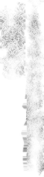 WP_A_0553_1_m_l.png