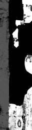 WP_A_0556_1_m_l.png