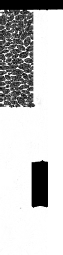 WP_A_0556_m_l.png