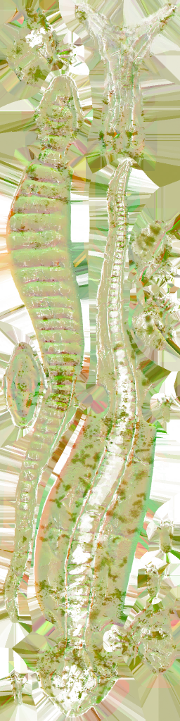 WP_A_0636_n_l.png