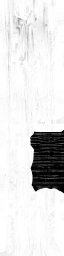 WP_A_0638_1_m_l.png
