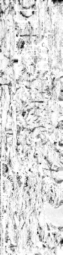 WP_A_0862_m_l.png