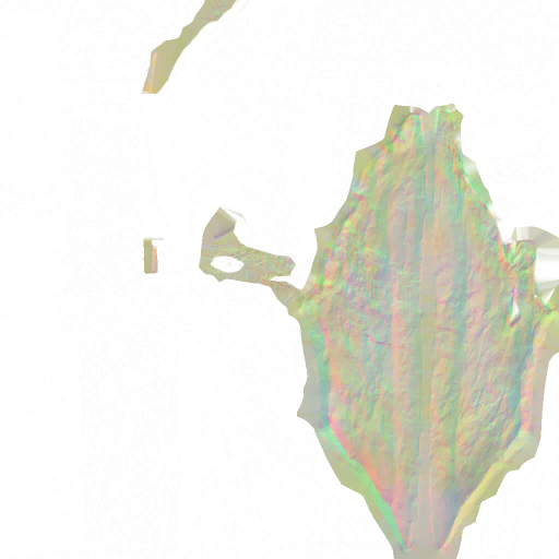 WP_A_1022_n_l.png