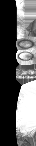 WP_A_1050_m_l.png